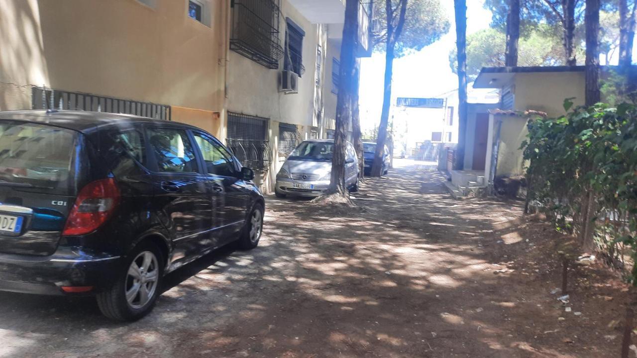 Apartment Pine 2 1 Golem (Tirana)