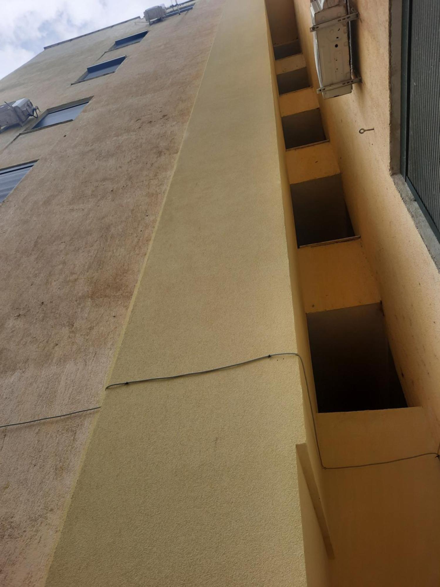 Pine 2 1 * Golem (Tirana)
